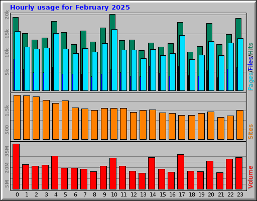 Hourly usage for February 2025